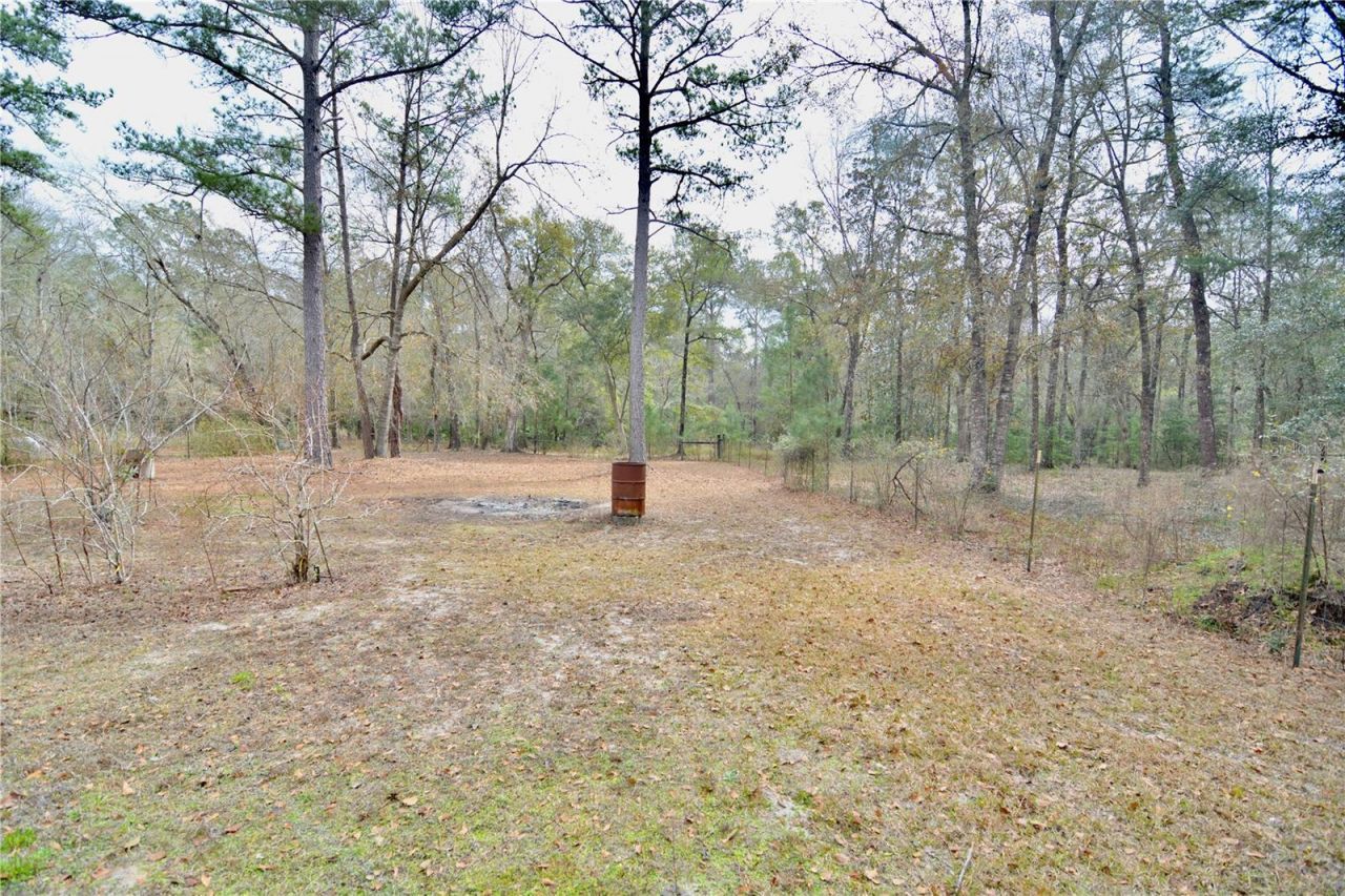 210 Tucker Springs Road , Sopchoppy, FL 32358 Photo