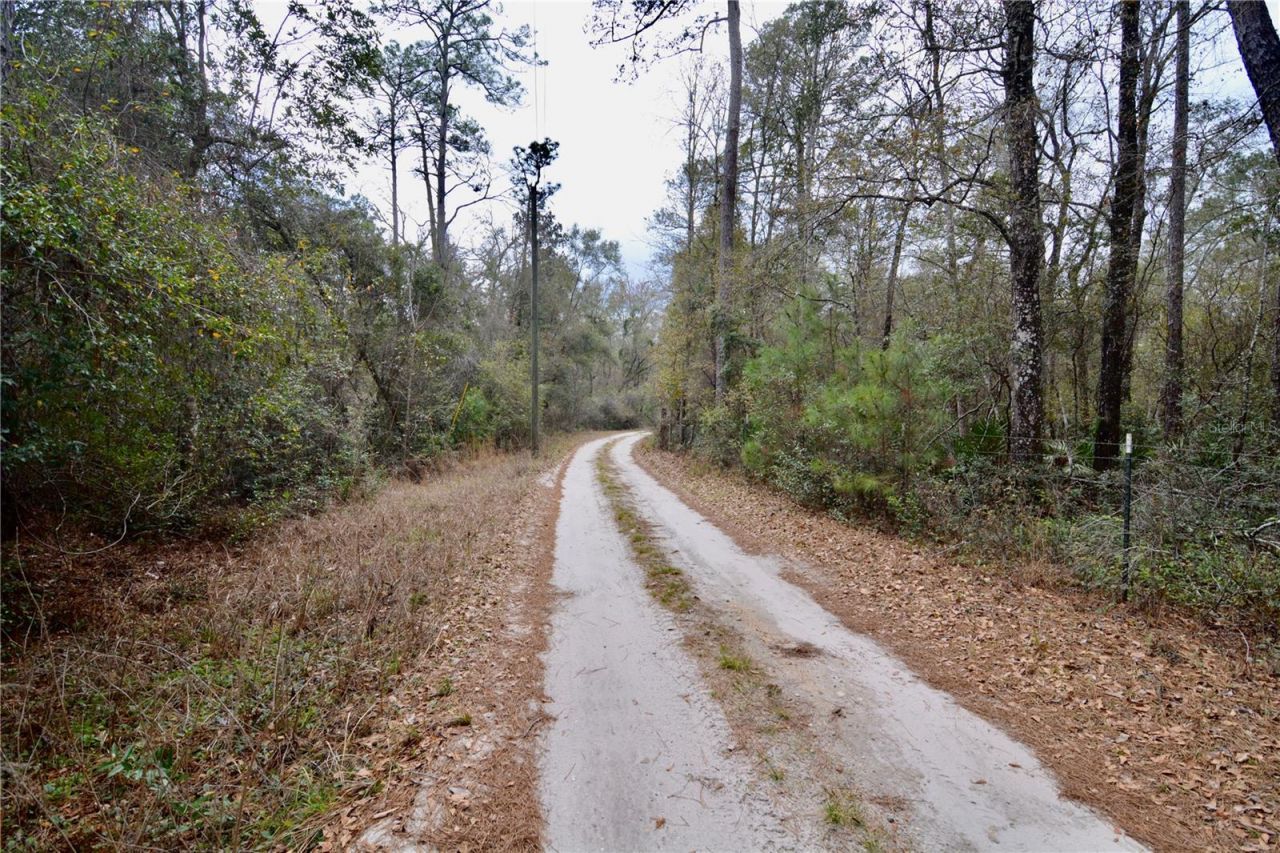 210 Tucker Springs Road , Sopchoppy, FL 32358 Photo