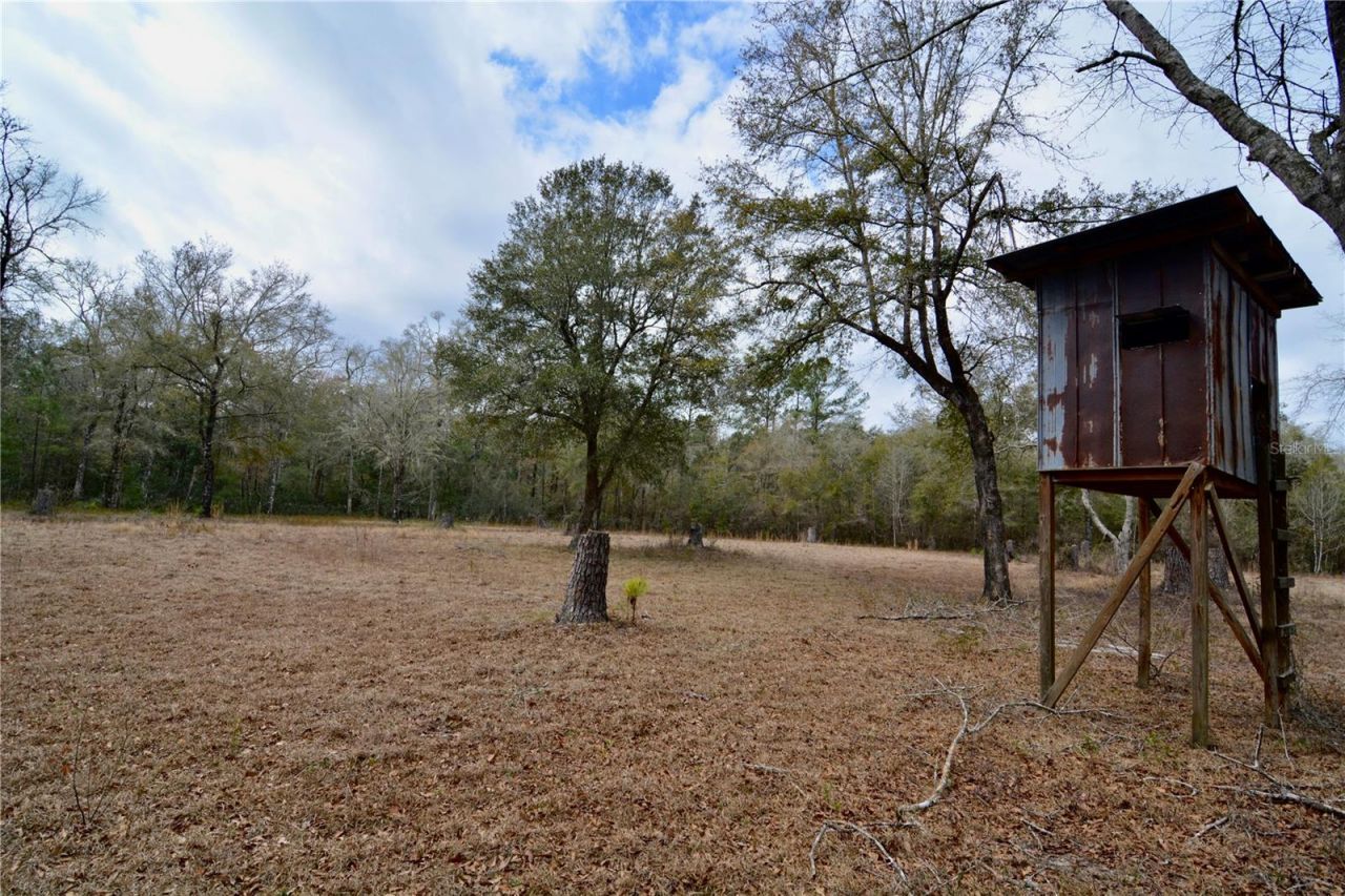 210 Tucker Springs Road , Sopchoppy, FL 32358 Photo