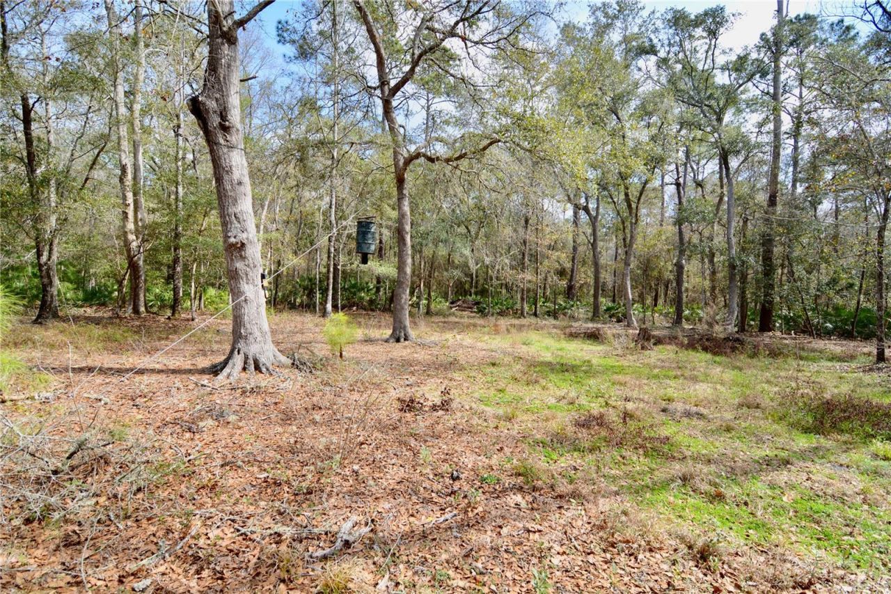 210 Tucker Springs Road , Sopchoppy, FL 32358 Photo