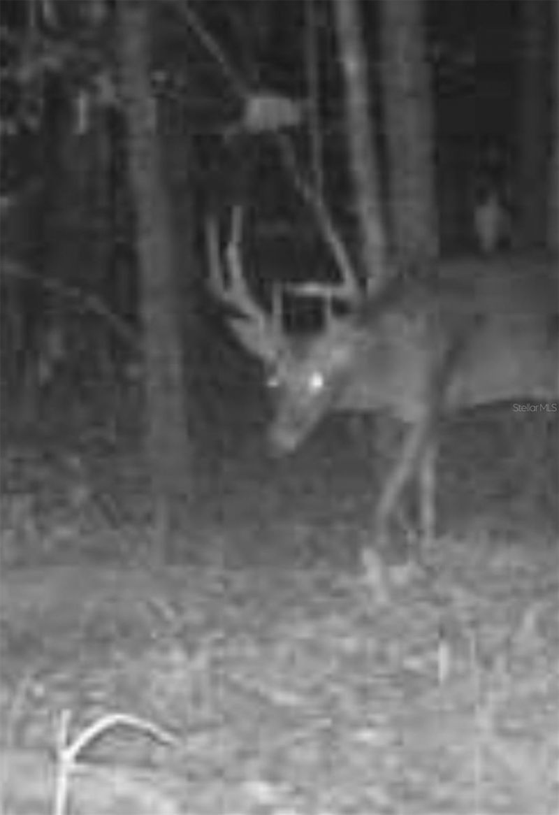 210 Tucker Springs Road , Sopchoppy, FL 32358 Photo