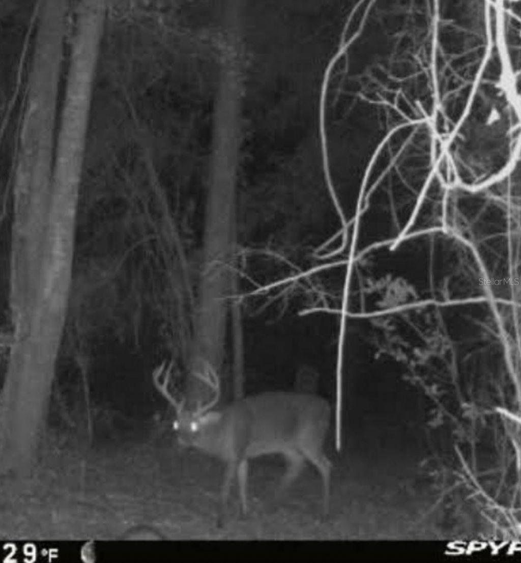 210 Tucker Springs Road , Sopchoppy, FL 32358 Photo