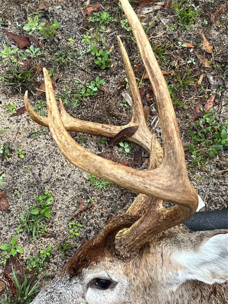 210 Tucker Springs Road , Sopchoppy, FL 32358 Photo