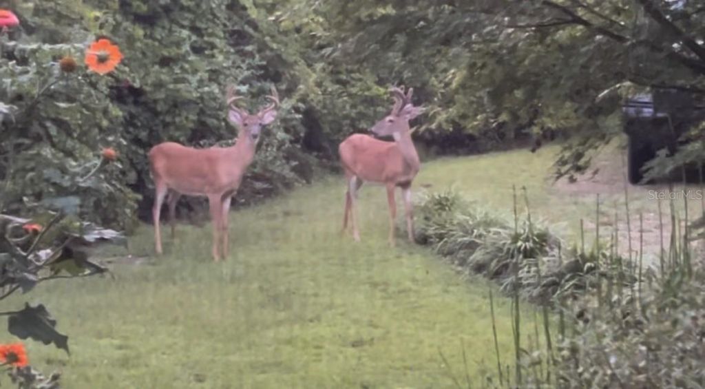 210 Tucker Springs Road , Sopchoppy, FL 32358 Photo