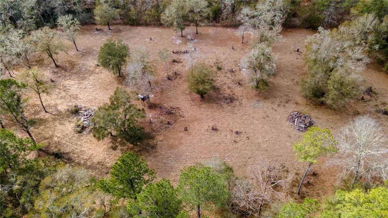 210 Tucker Springs Road , Sopchoppy, FL 32358 Photo