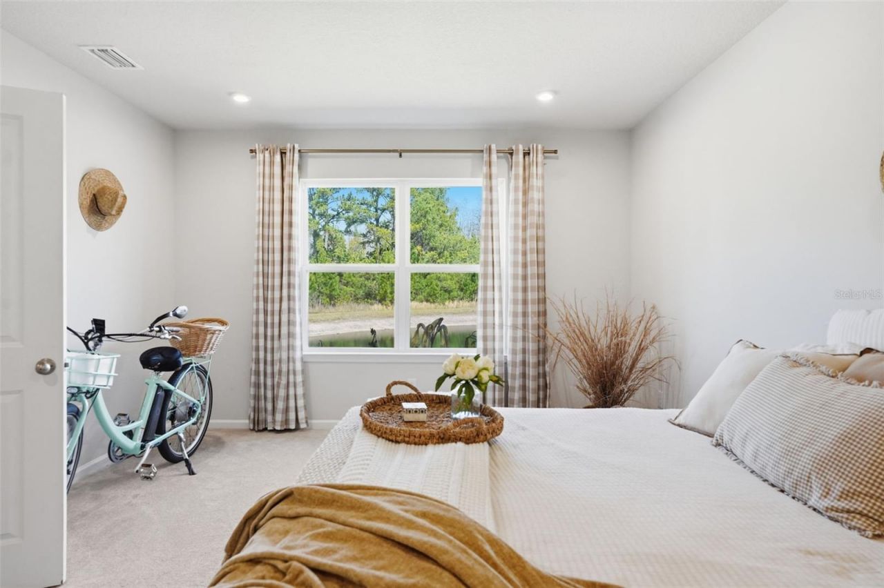 18093 Turning Leaf Circle, Land O Lakes, FL 34638 Photo