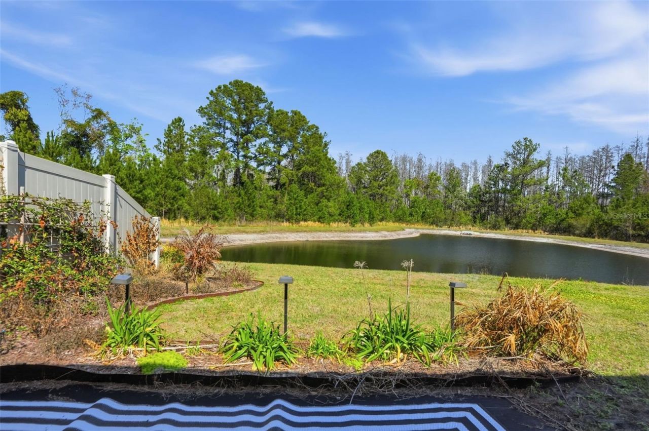 18093 Turning Leaf Circle, Land O Lakes, FL 34638 Photo