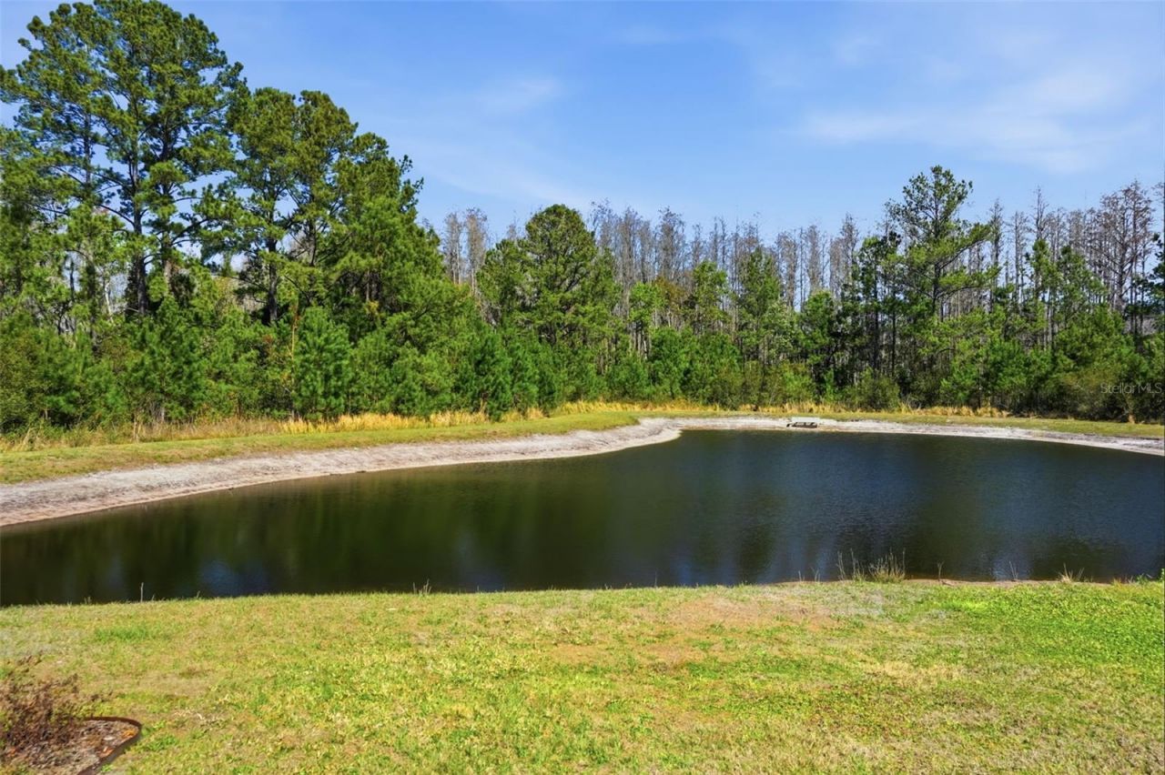 18093 Turning Leaf Circle, Land O Lakes, FL 34638 Photo