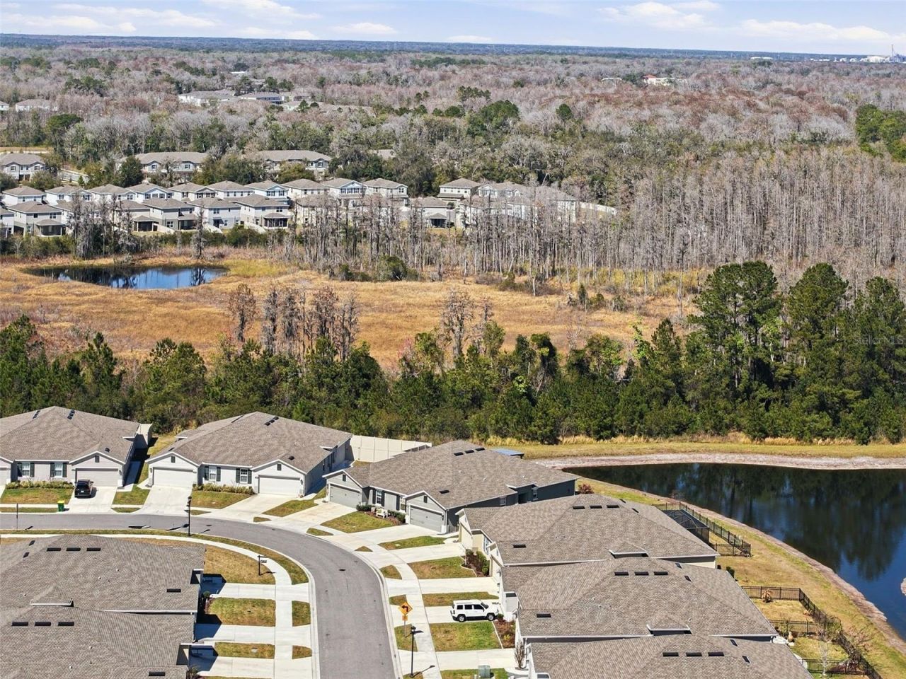 18093 Turning Leaf Circle, Land O Lakes, FL 34638 Photo