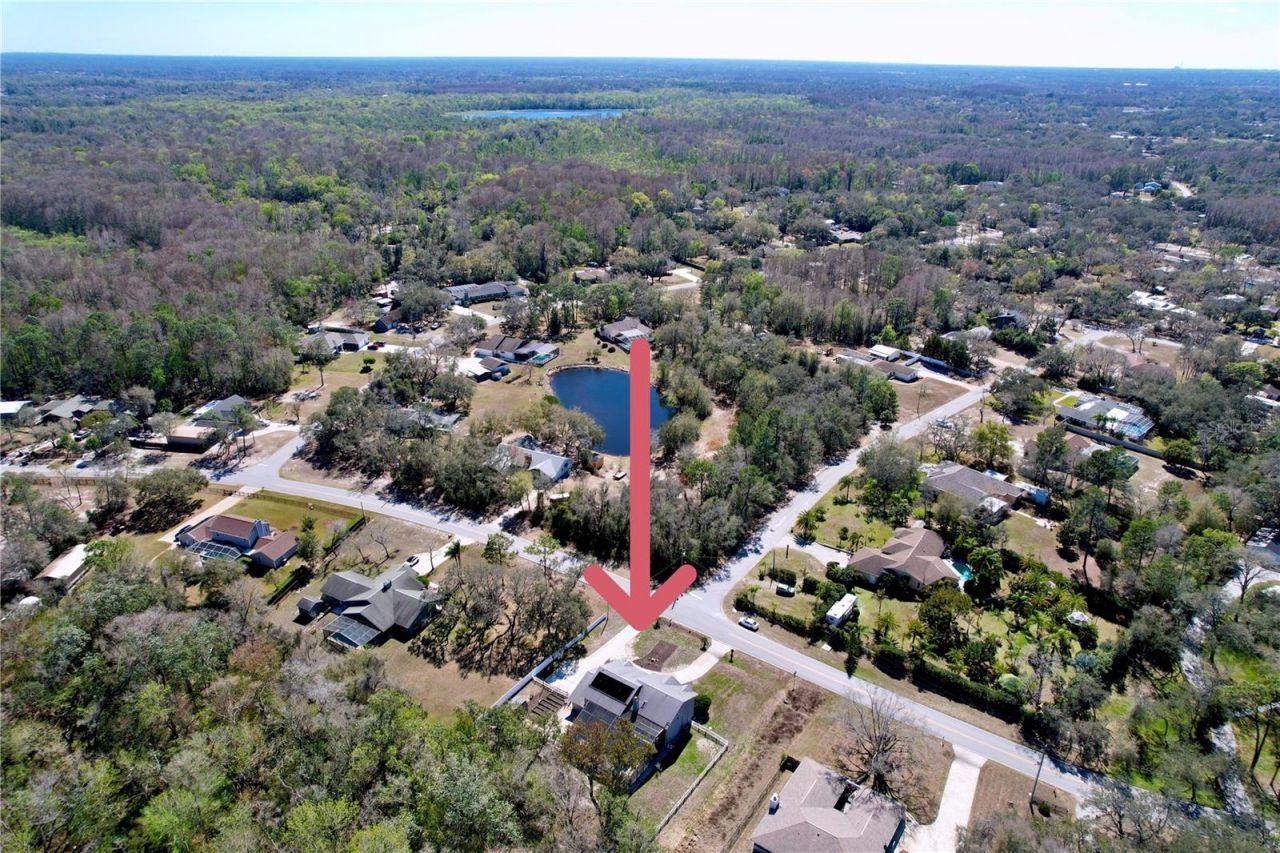 10655 Lakeview Drive, New Port Richey, FL 34654 Photo