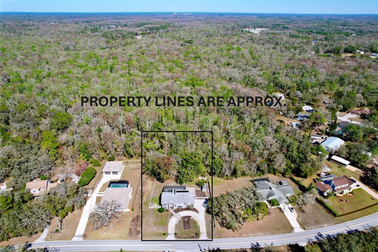 10655 Lakeview Drive, New Port Richey, FL 34654 Photo