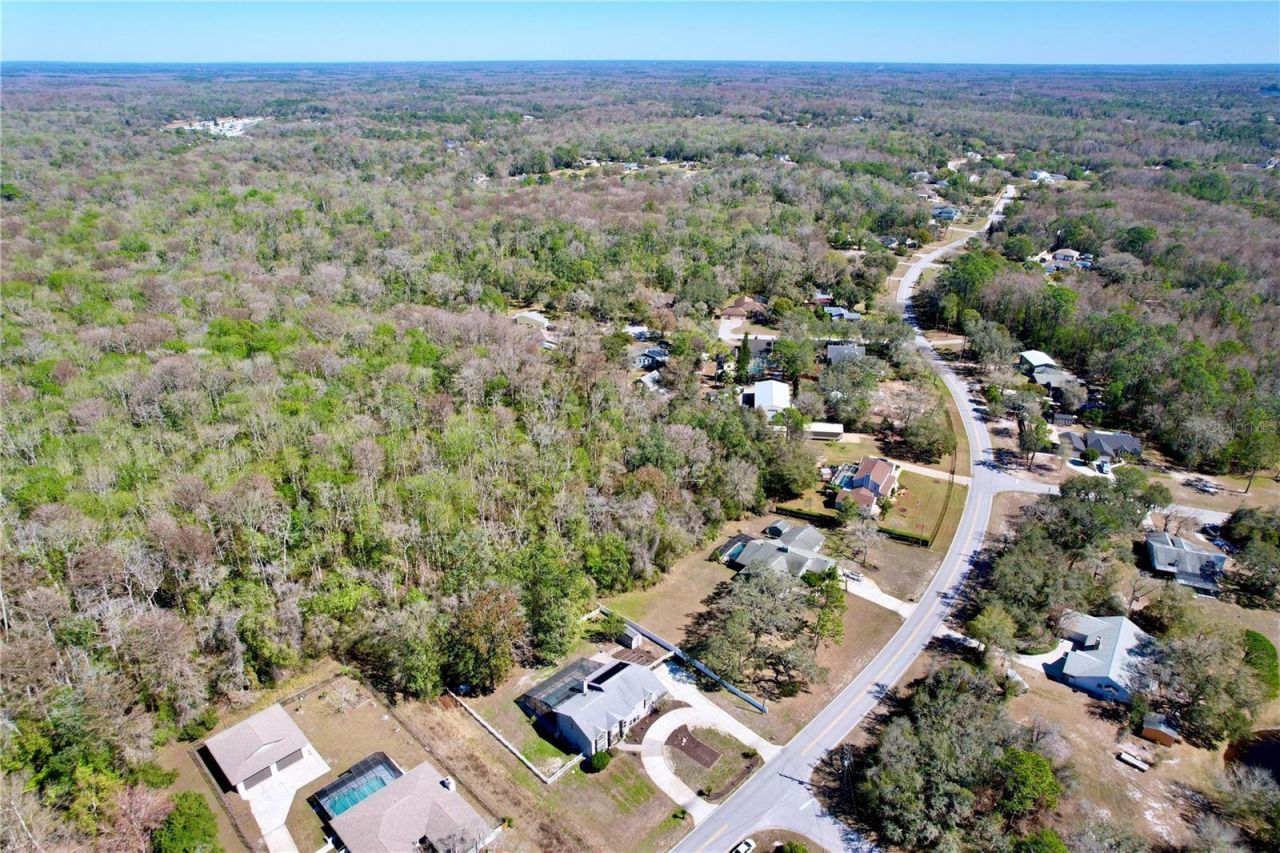 10655 Lakeview Drive, New Port Richey, FL 34654 Photo