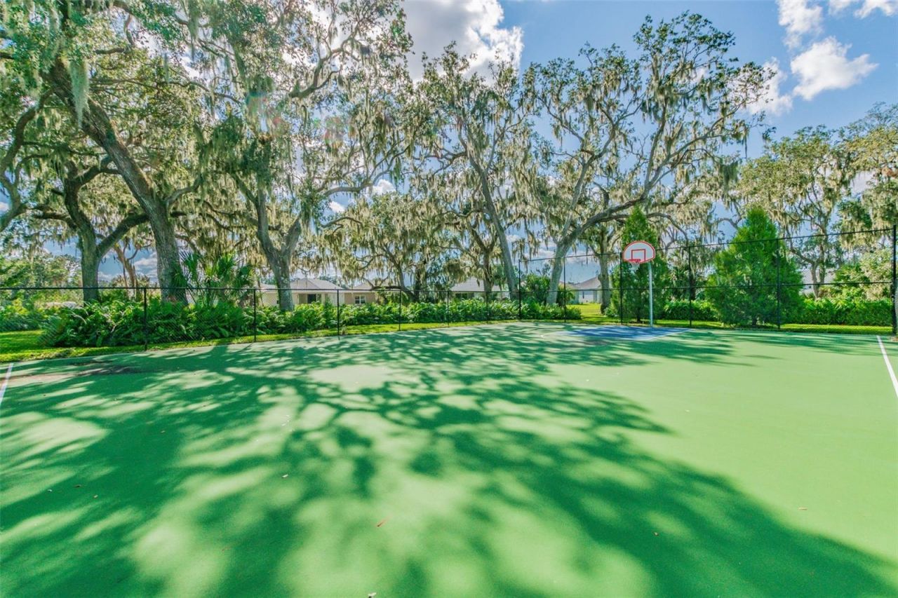 10417 Crooked Creek Court, Parrish, FL 34219 Photo