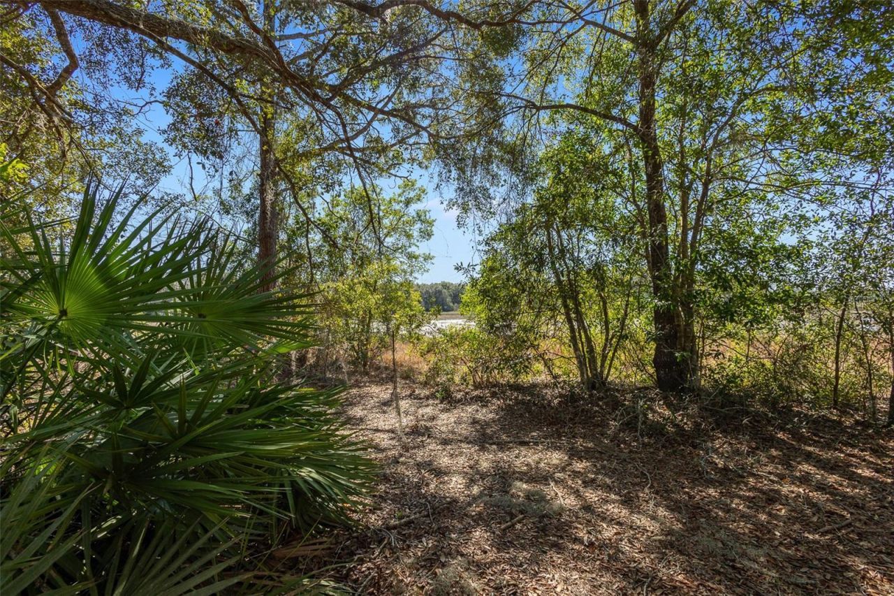 18434 SE 24th Street , Silver Springs, FL 34488 Photo