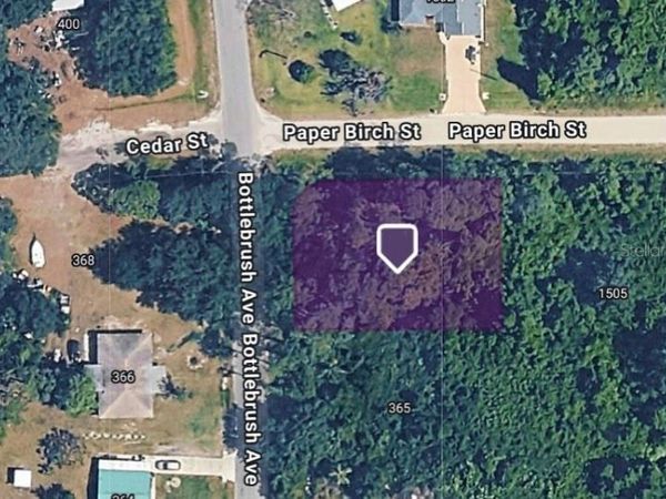 367 BOTTLEBRUSH AVENUE , LAKE PLACID, FL 33852