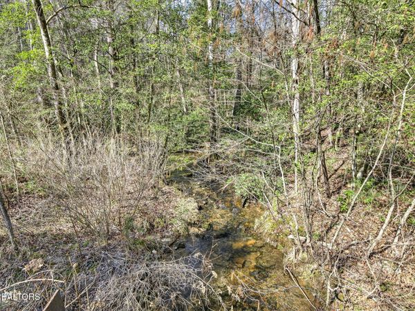 60.6 Acres Dogwood Rd, Grandview, TN 37337