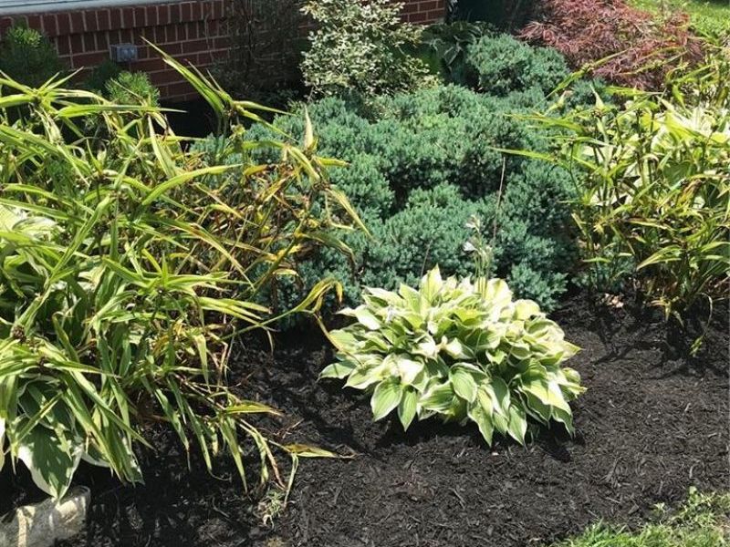 3826 California Avenue, Dayton, OH 45429 Photo 34