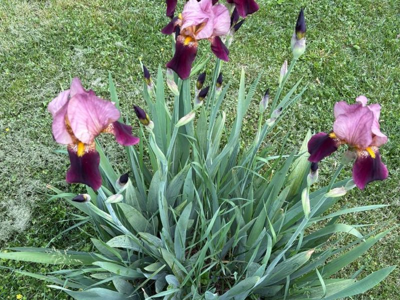 3826 California Avenue, Kettering, OH 45429 Photo 35