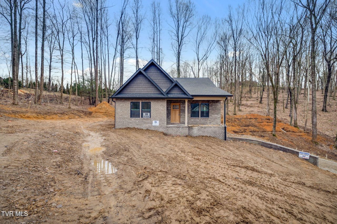 119 Victor Drive, Johnson City, TN 37601 Main Photo