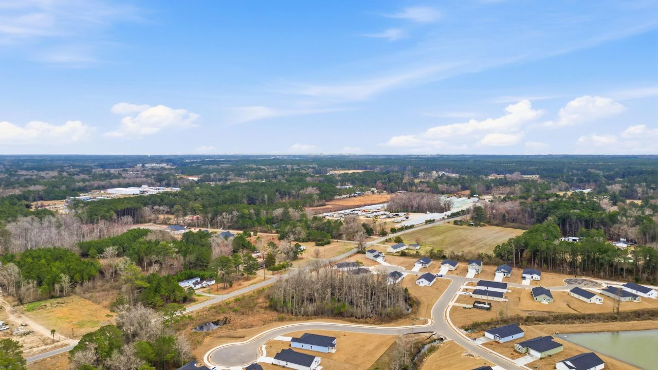 409 Blue Fescue Ct Photo 39