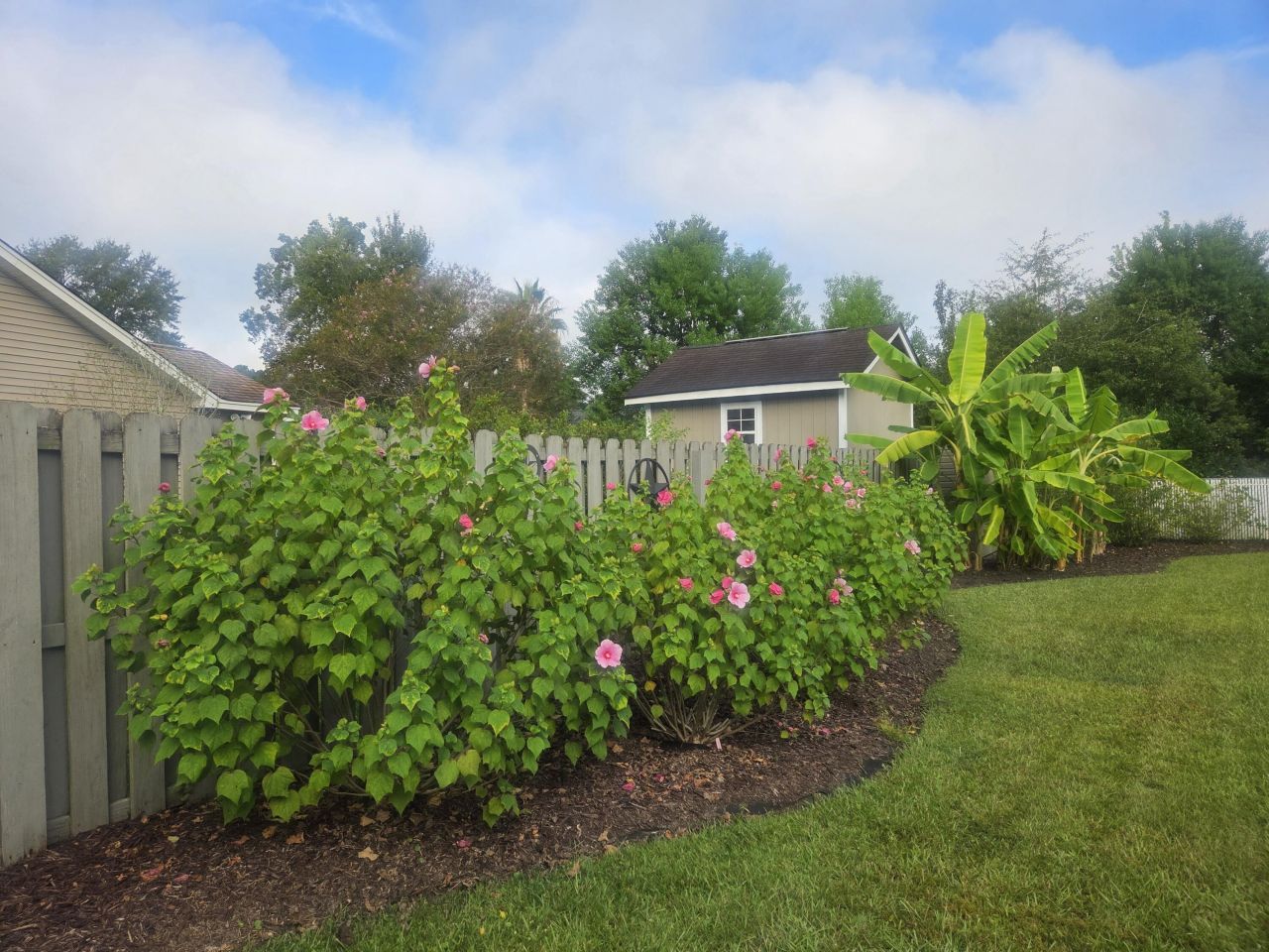 201 Ash Court Photo 46