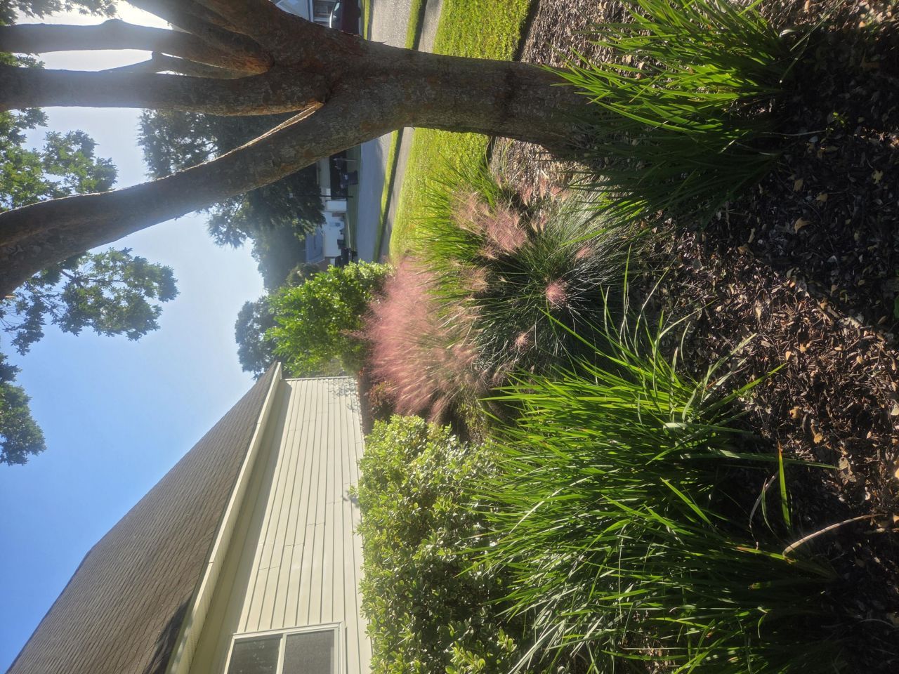 201 Ash Court Photo 47