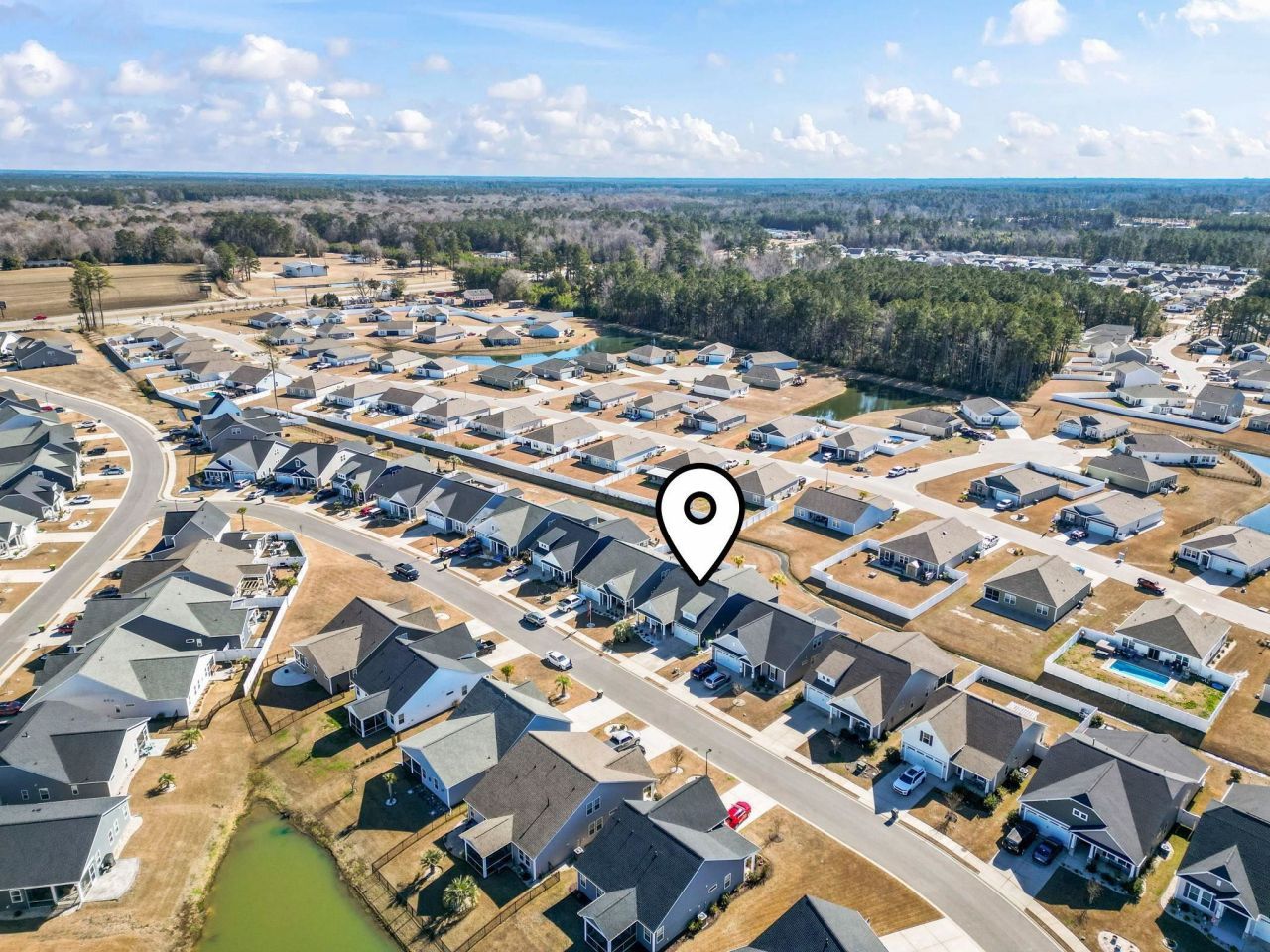 788 Hackberry Way Photo 40