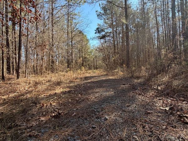 2001 Reed Road, Ackerman, MS 39735