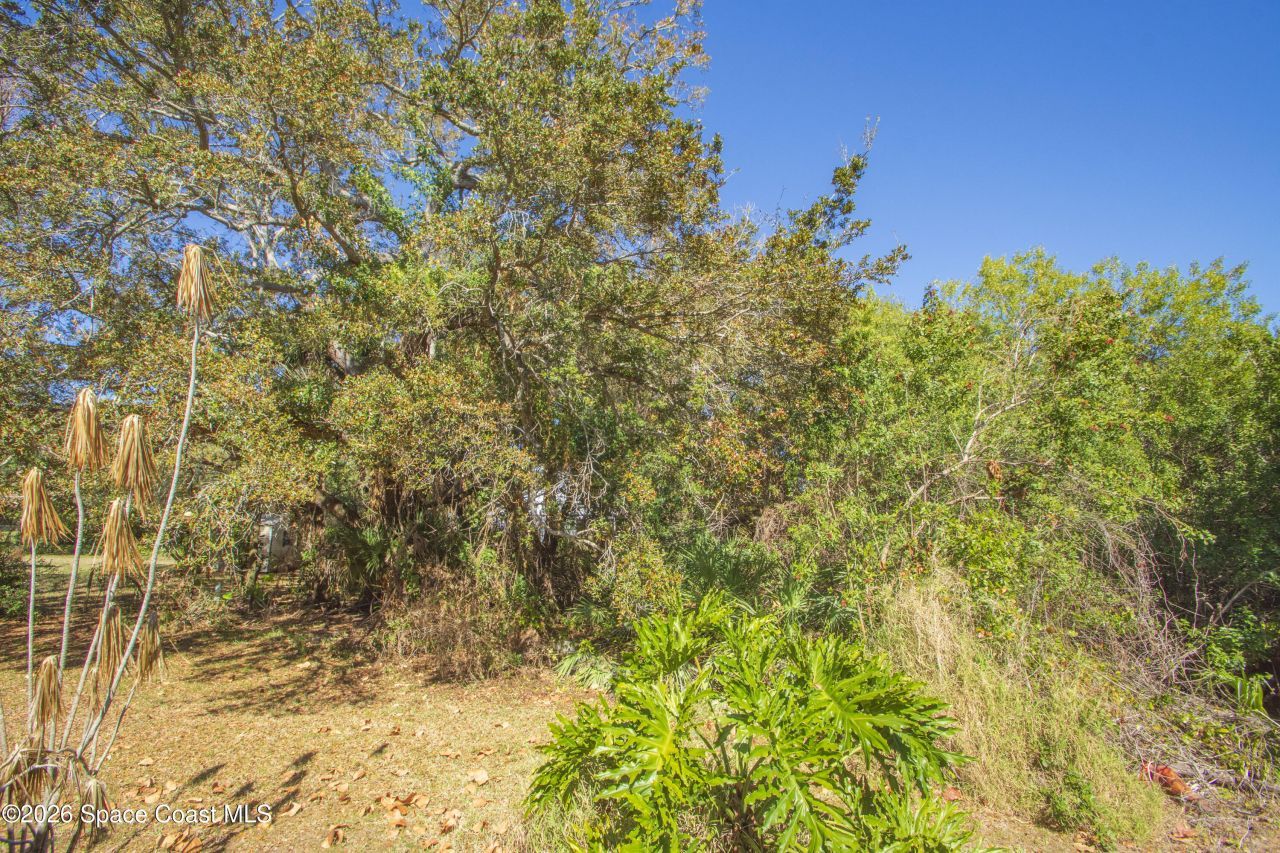 117 Acorn Terrace, Sebastian, FL 32958 Photo