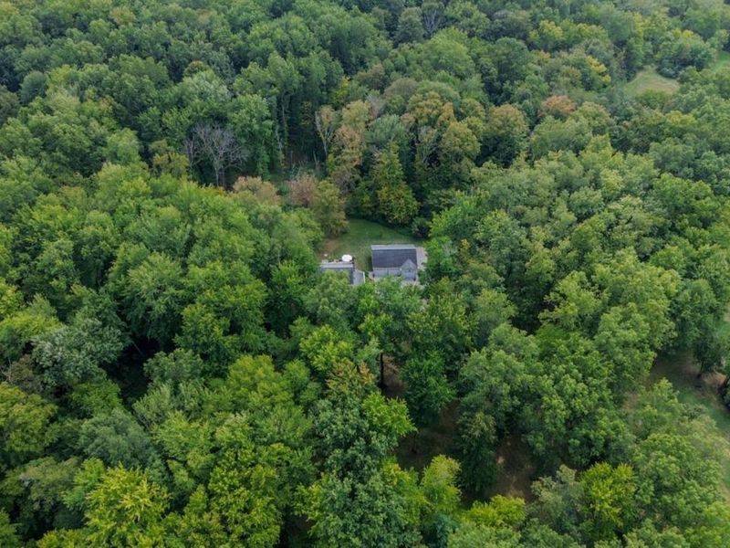 5445 Belle Meade Drive, Stonelick Twp, OH 45103 Photo 79