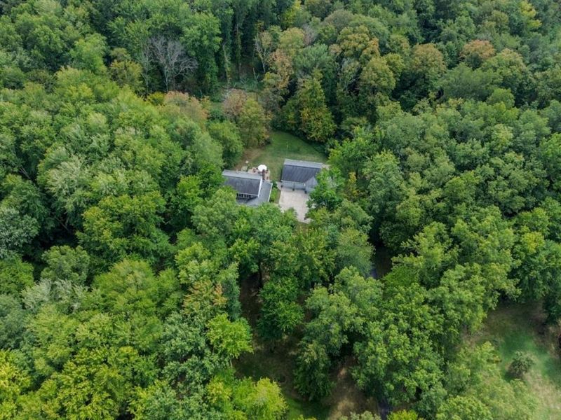 5445 Belle Meade Drive, Stonelick Twp, OH 45103 Photo 80