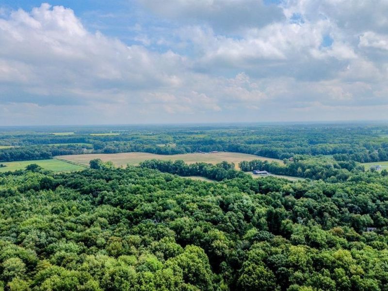 5445 Belle Meade Drive, Stonelick Twp, OH 45103 Photo 82