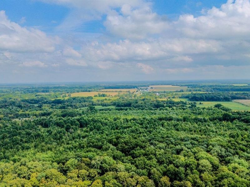 5445 Belle Meade Drive, Stonelick Twp, OH 45103 Photo 83