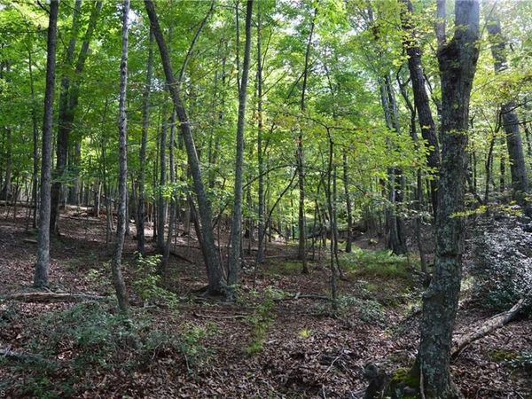 Tract E Hanging Rock Forest Road , Unit Tract E, Danbury, NC 27016