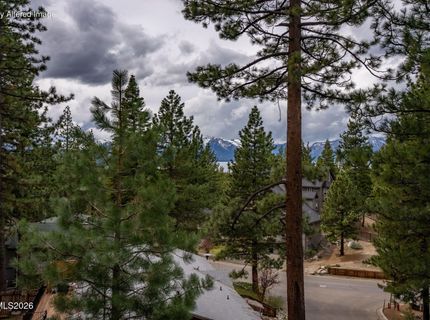 353 Sherwood Drive, Stateline, NV 89449 Photo