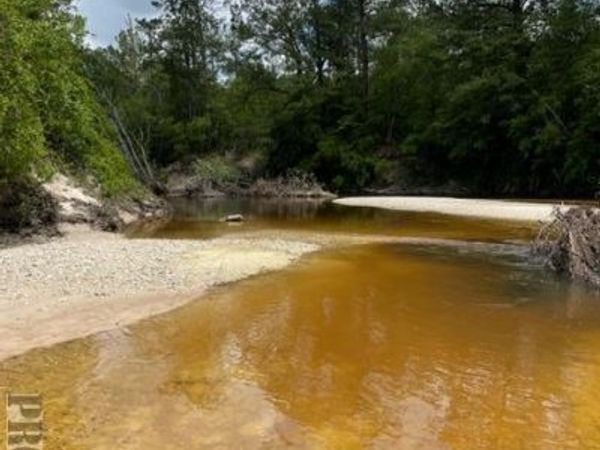 0 Four Feathers Ranch Road, Poplarville, MS 39470