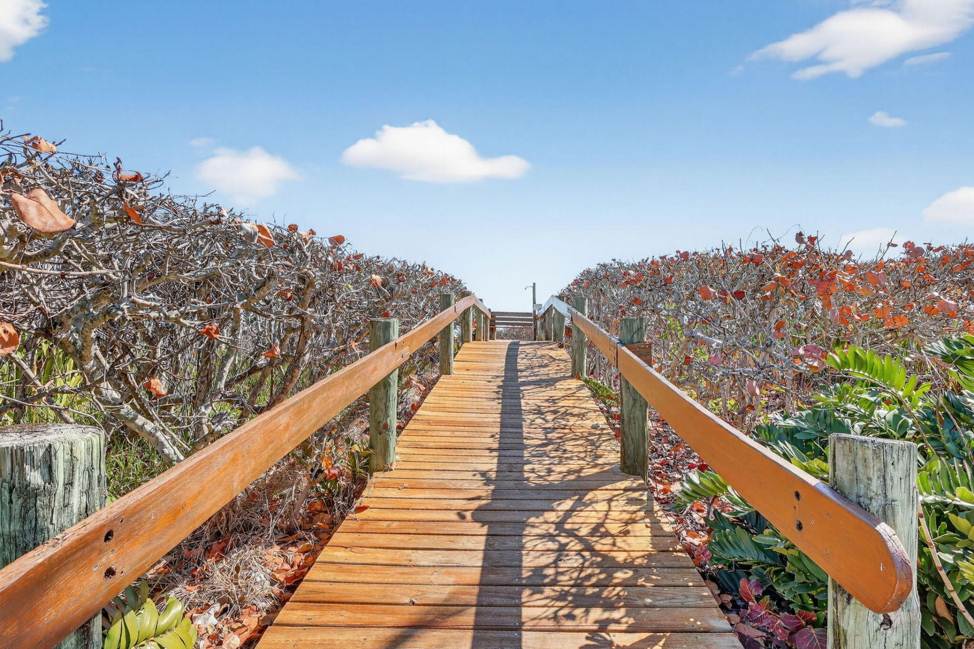 5159 N Highway A1a, Unit 315, Hutchinson Island, FL 34949 Photo