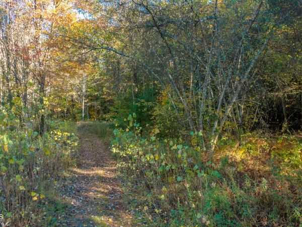 L122 Dimmick Road, Gansevoort, NY 12831