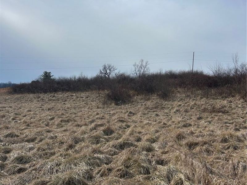 6957 Perrys Den Road, Cumberland, OH 43732 Photo 1