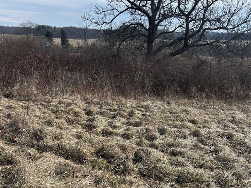 6957 Perrys Den Road, Cumberland, OH 43732 Photo 11