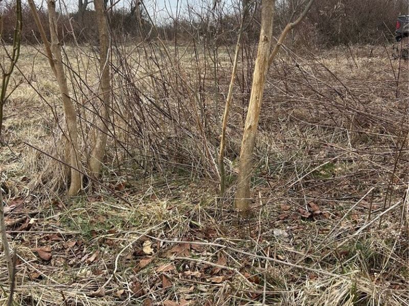 6957 Perrys Den Road, Cumberland, OH 43732 Photo 2