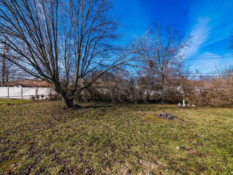 1423 Cottingham Court E, Columbus, OH 43209 Photo 51