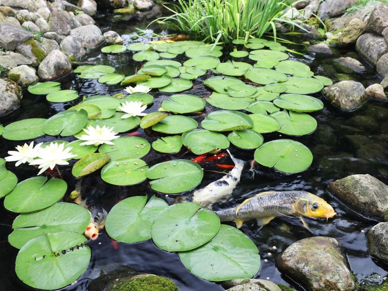 1263 Oakland Avenue, Columbus, OH 43212 Photo 41