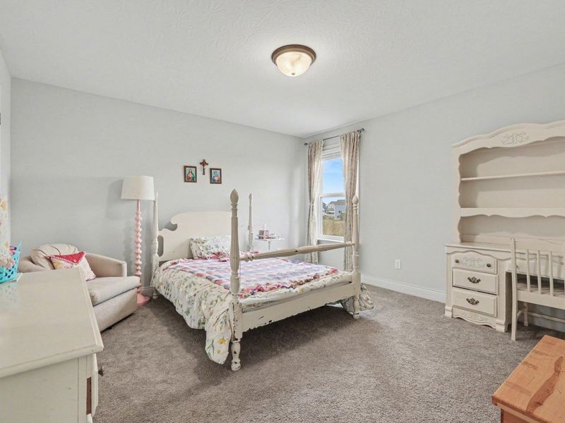 259 Chardonnay Valley, Walton, KY 41094 Photo 30