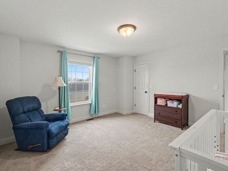 259 Chardonnay Valley, Walton, KY 41094 Photo 34