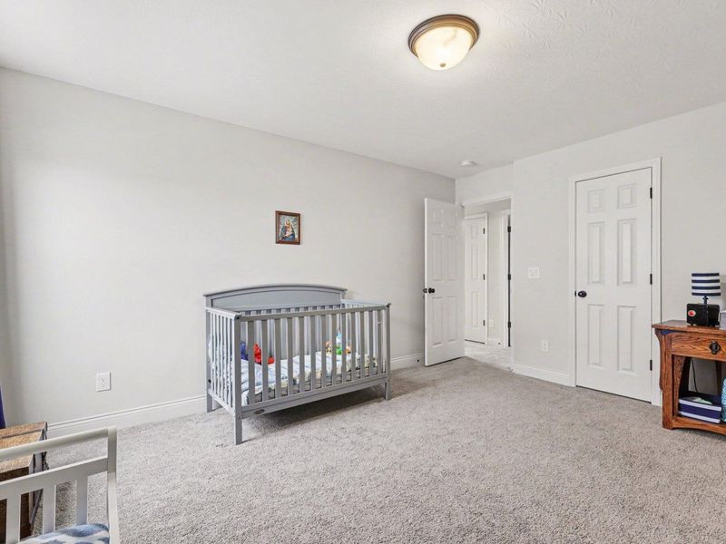 259 Chardonnay Valley, Walton, KY 41094 Photo 36