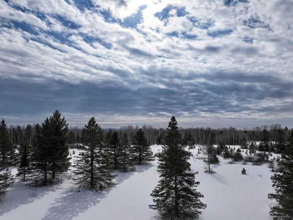 89.85 Acres S Pellman Lp, WI 54854