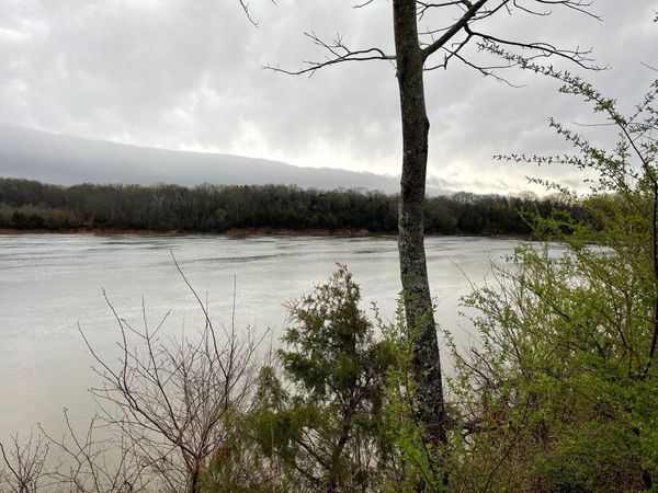 70 CRAVENS RD, Savannah, TN 38372