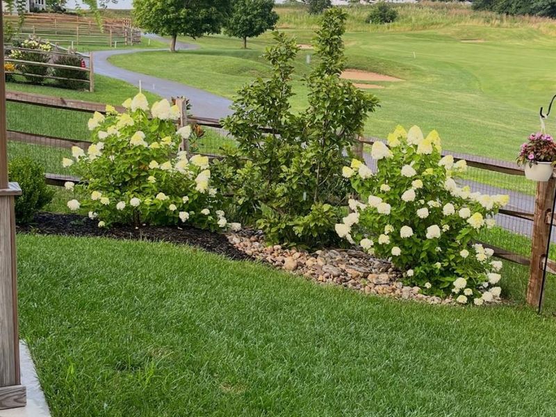 1160 Golf Club Drive, Turtle Creek Twp, OH 45036 Photo 46