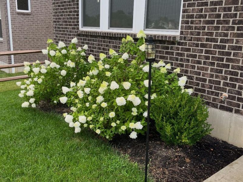 1160 Golf Club Drive, Turtle Creek Twp, OH 45036 Photo 47